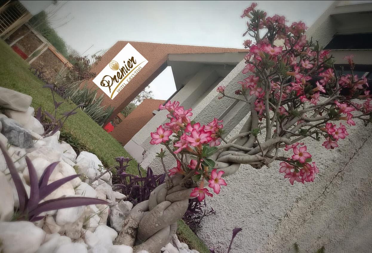 Hotel Premier Río Verde 외부 사진